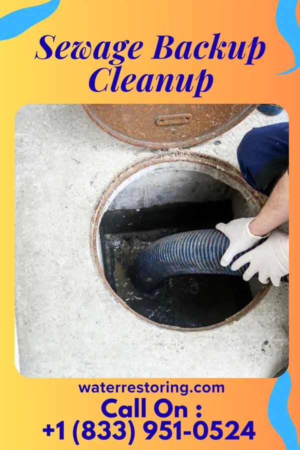 Sewage Backup Cleanup in Jefferson Heights, NY