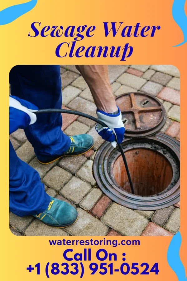 Sewage Water Cleanup in Jefferson Heights, NY