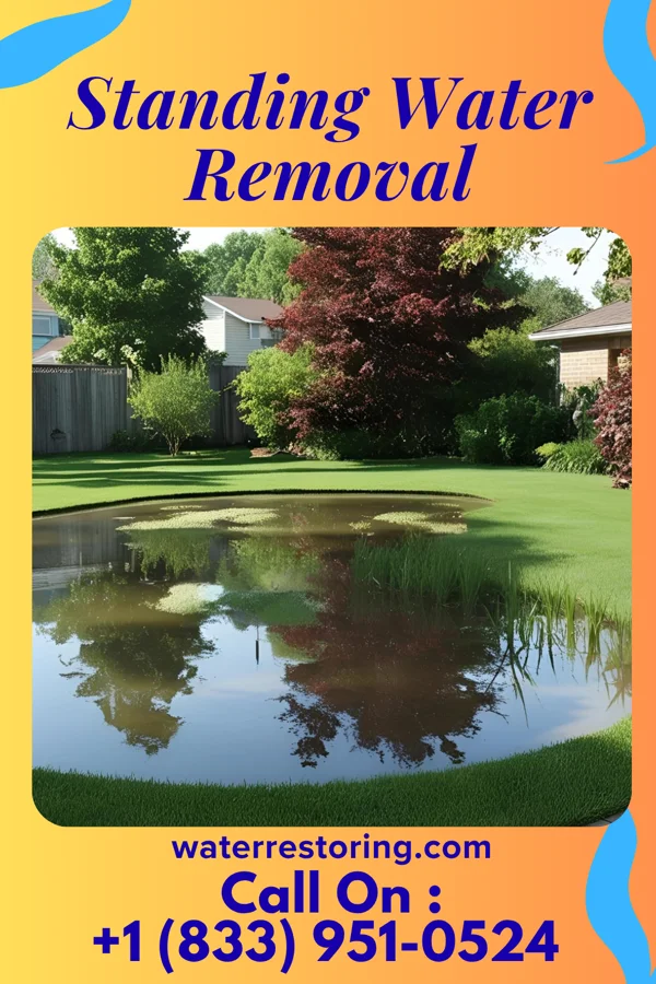 Standing Water Removal in Jefferson Heights, NY